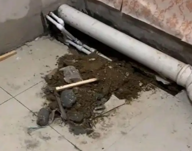 坡头卫生间漏水检测哪家好